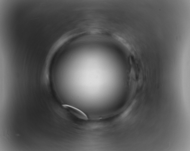 X0000092310246200709211254