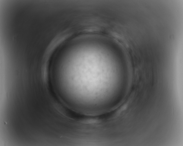 X0000092310247200709211254