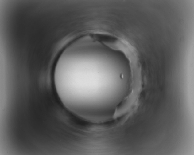 X0000092310248200709211254