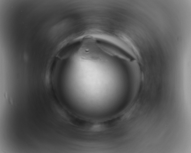 X0000092310249200709211254