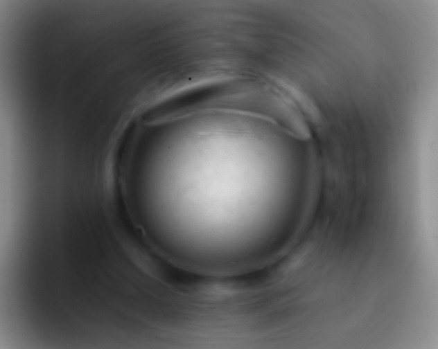 X0000092310250200709211254
