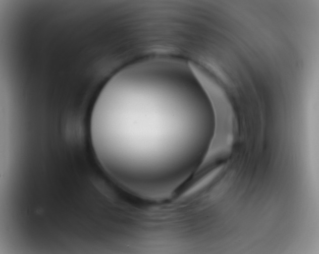 X0000092310252200709211254