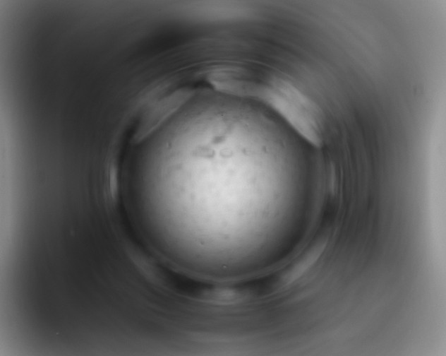 X0000092310253200709211254