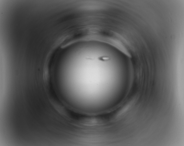 X0000092310254200709211254