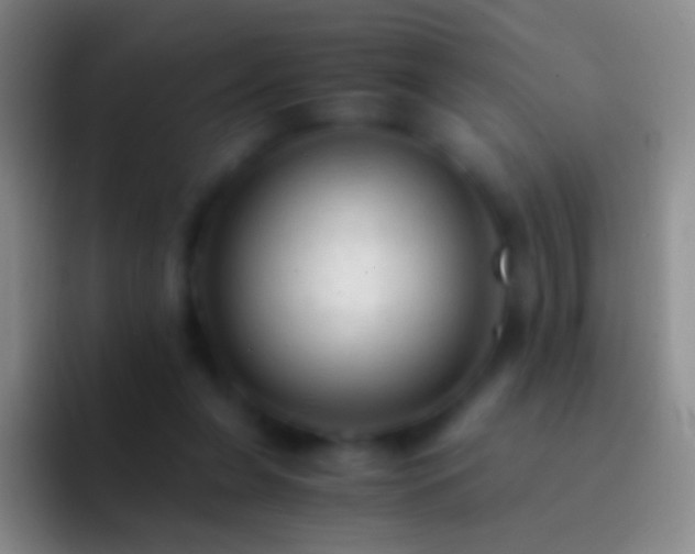 X0000092310255200709211254