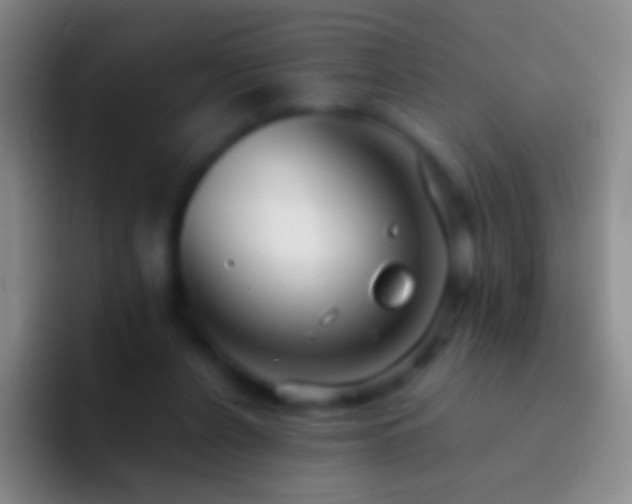 X0000092310256200709211254