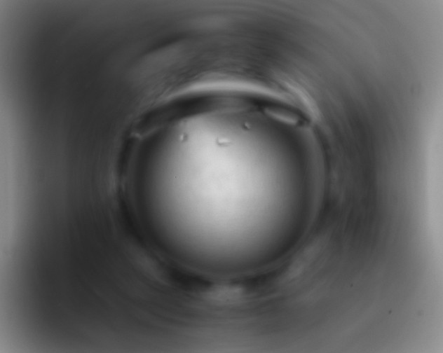X0000092310257200709211254