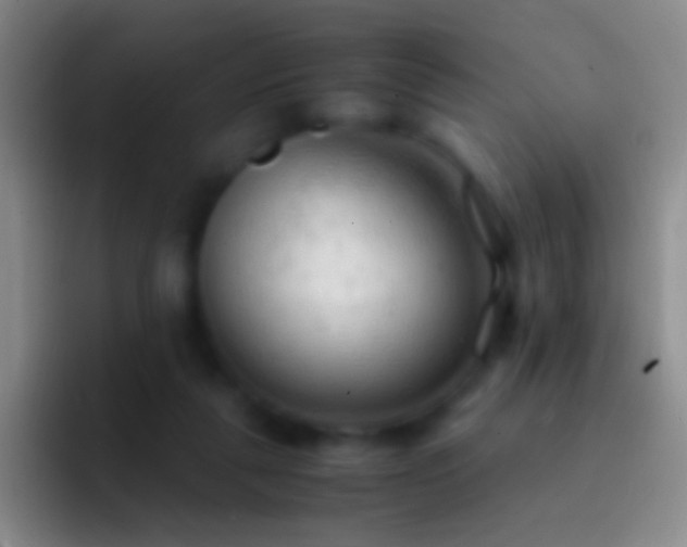 X0000092310259200709211254
