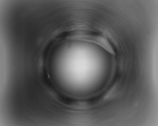 X0000092310260200709211254