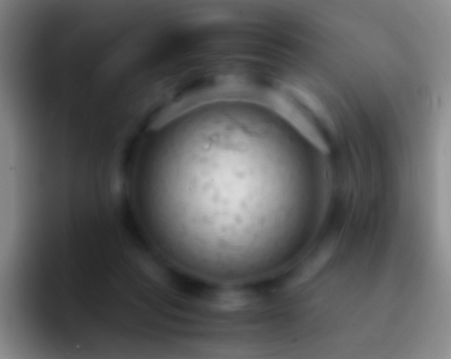 X0000092310261200709211254