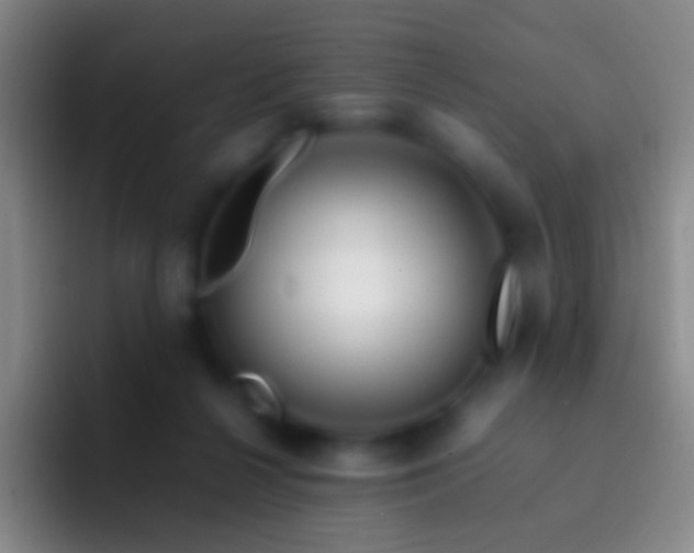 X0000092310264200709211254
