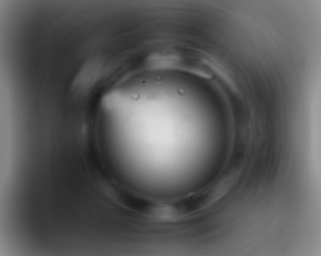 X0000092310265200709211254