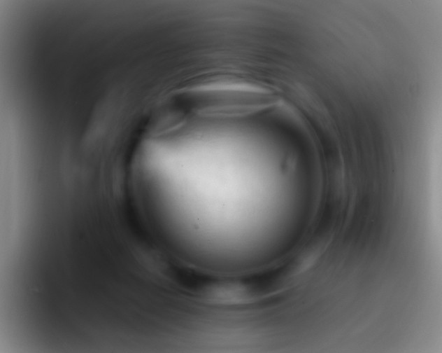 X0000092310266200709211254