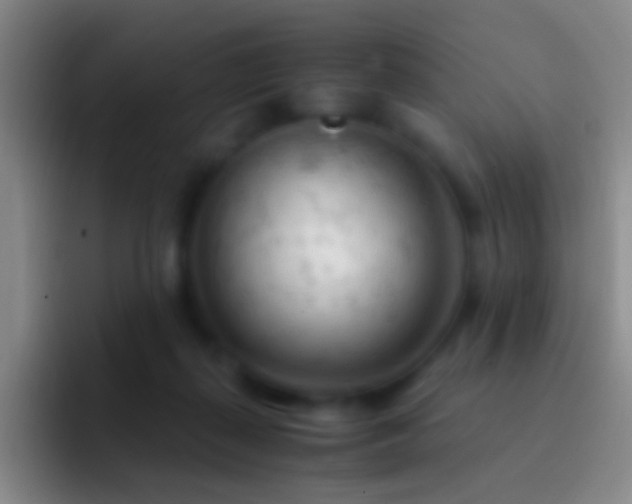 X0000092310267200709211254