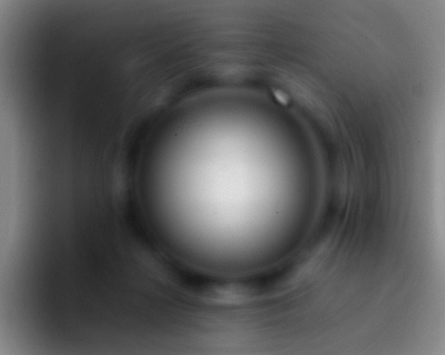X0000092310268200709211254