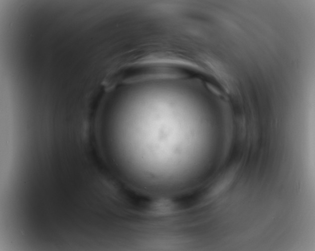 X0000092310269200709211254