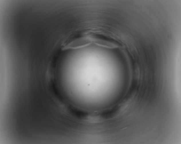 X0000092310272200709211254