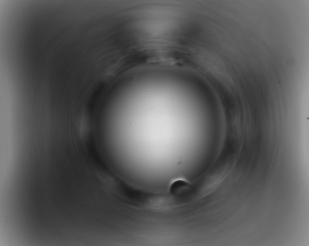 X0000092310274200709211254
