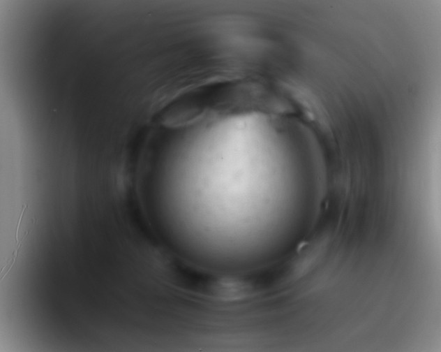 X0000092310277200709211254