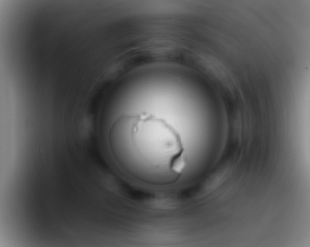 X0000092310278200709211254