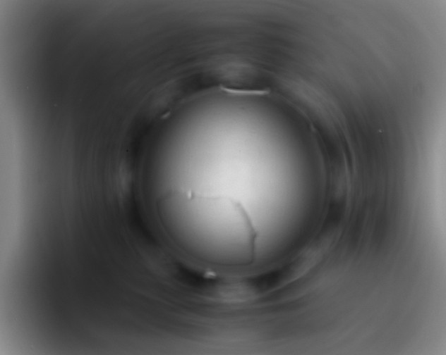 X0000092310279200709211254