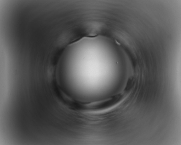 X0000092310280200709211254