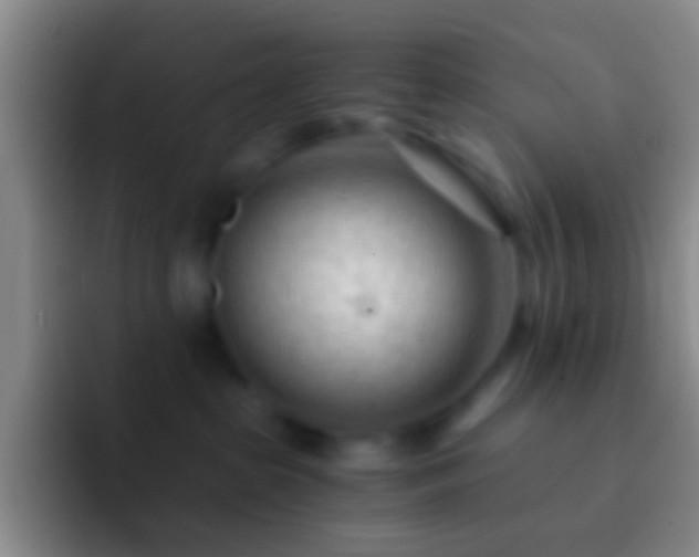 X0000092310285200709211255