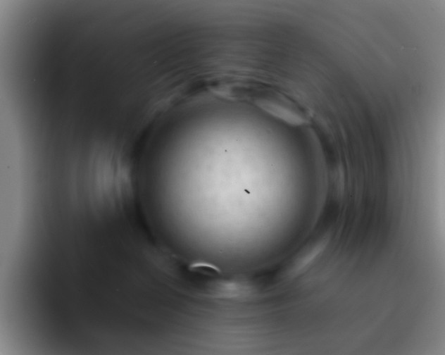 X0000092310286200709211255