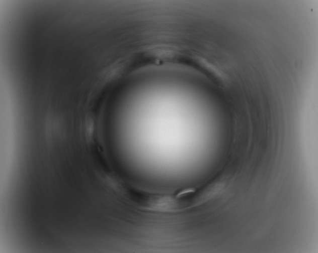 X0000092310288200709211255