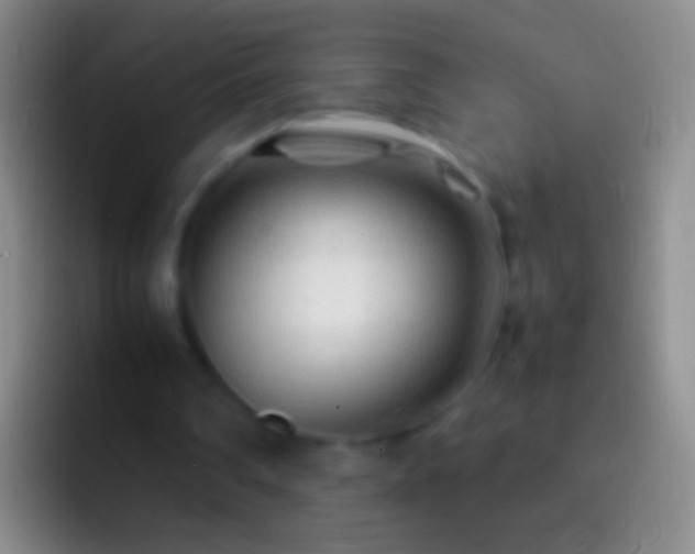 X0000092310290200709211254