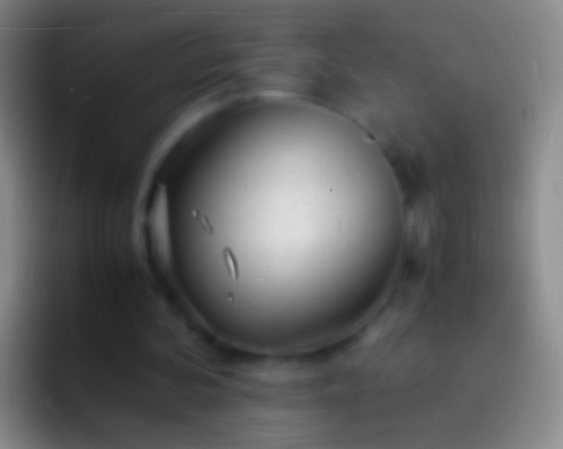 X0000092310292200709211254