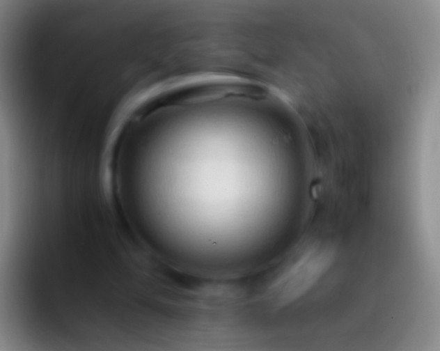 X0000092310294200709211254