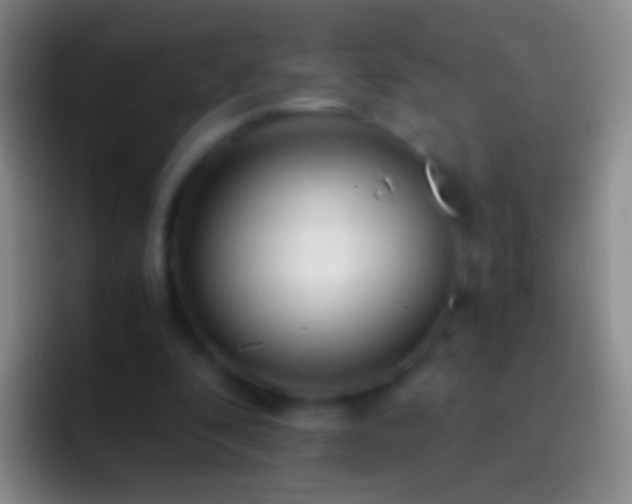X0000092310296200709211254