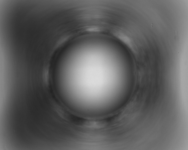 X0000092310297200709211254
