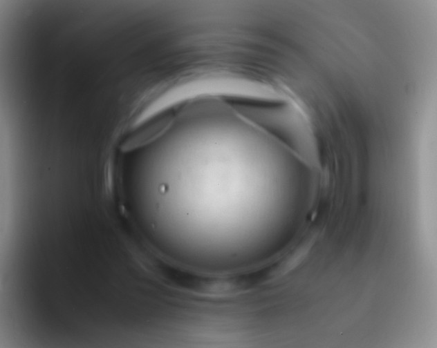 X0000092310301200709211254