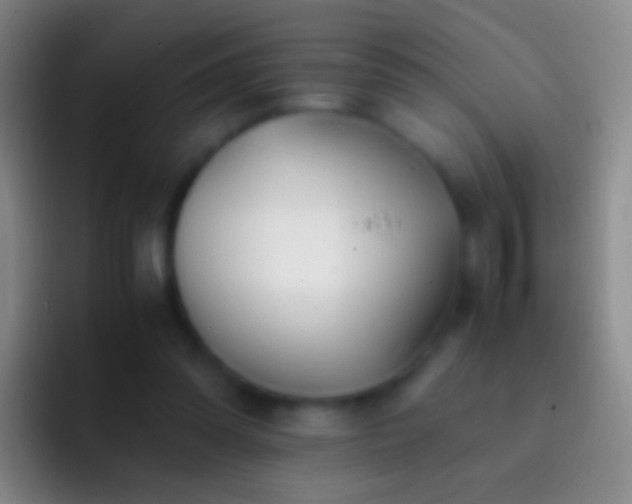 X0000092310302200709211254