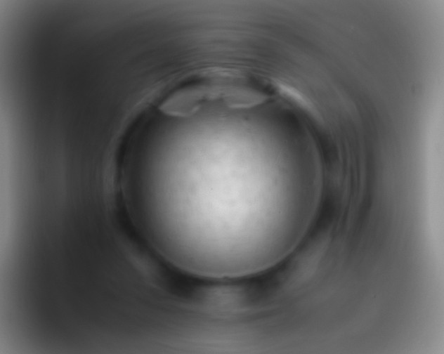 X0000092310303200709211254