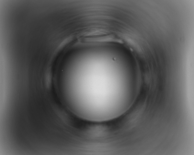 X0000092310304200709211254