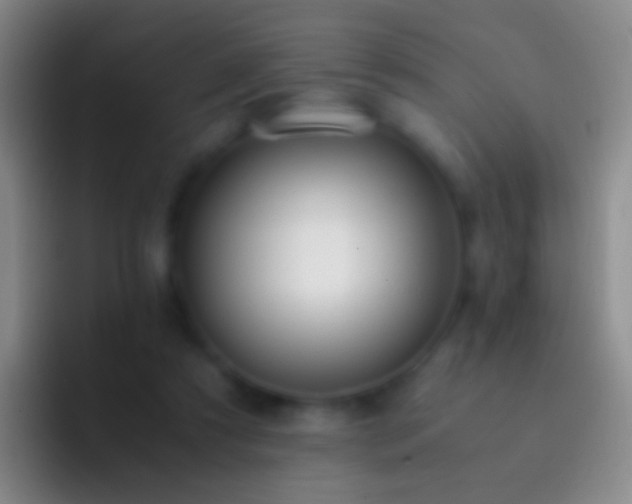 X0000092310305200709211254
