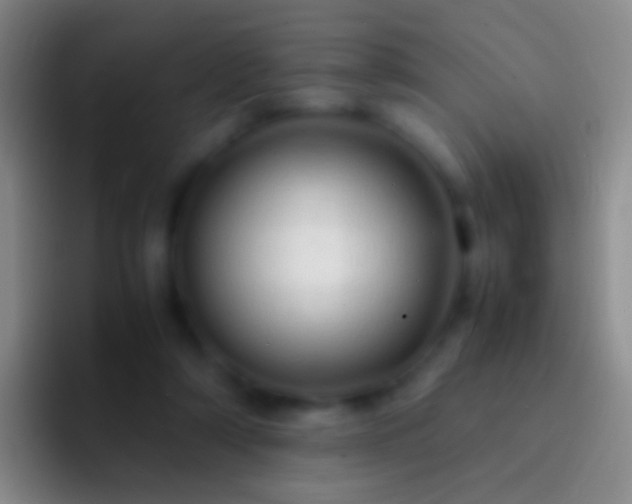 X0000092310306200709211254