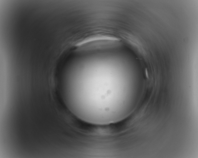 X0000092310317200709211254