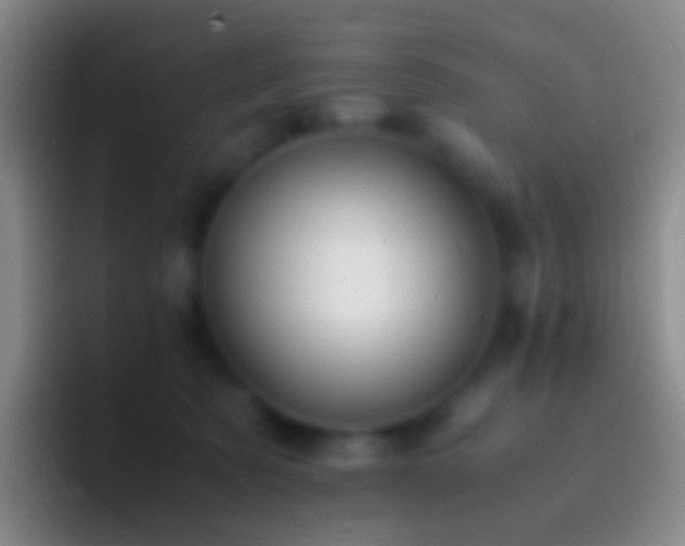 X0000092310321200709211254