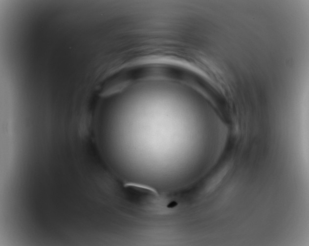 X0000092310325200709211254