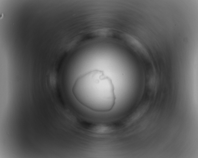 X0000092310326200709211254