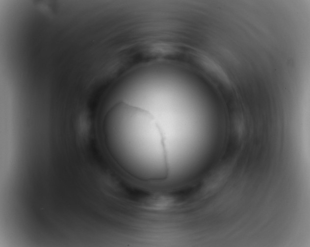 X0000092310328200709211254