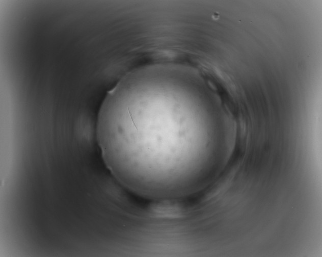 X0000092310331200709211254