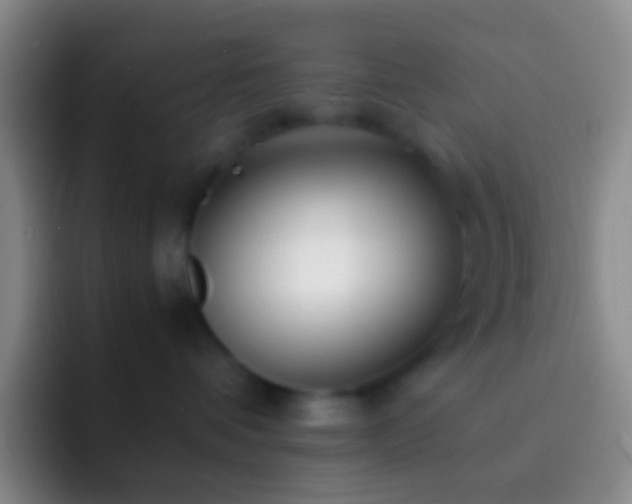 X0000092310336200709211253