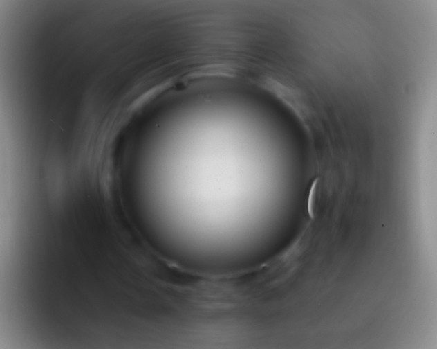X0000092310338200709211253