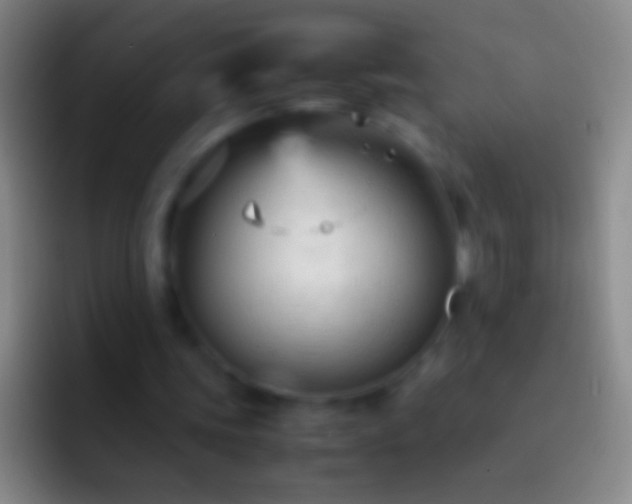 X0000092310339200709211253