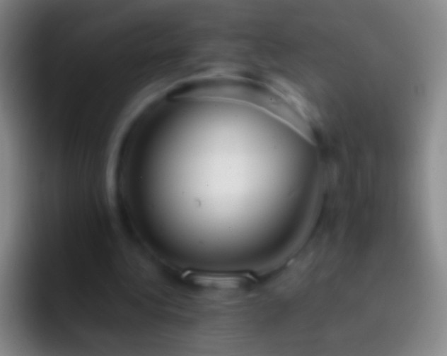 X0000092310340200709211253